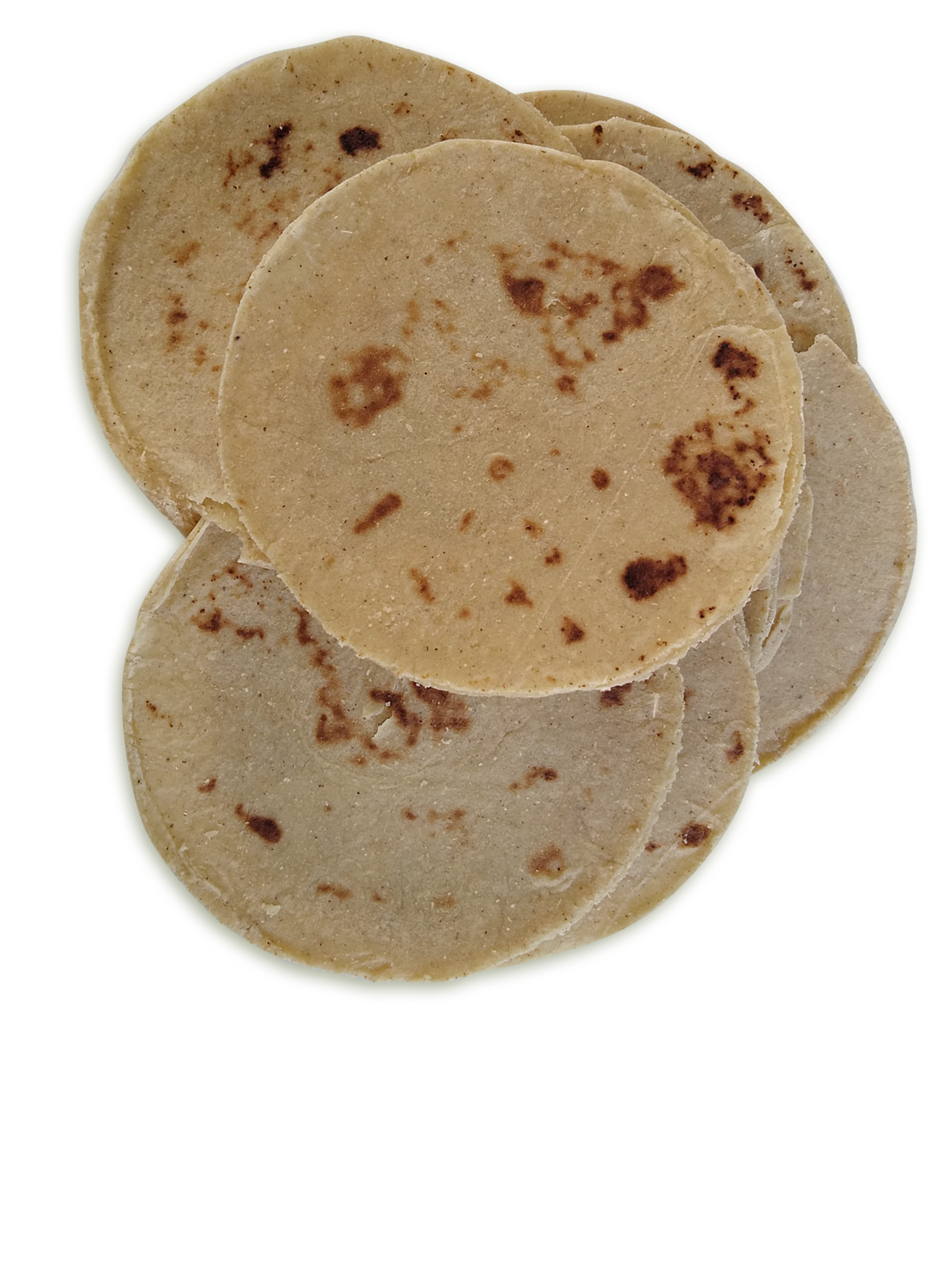 Tortilla de Nopal Kupalin